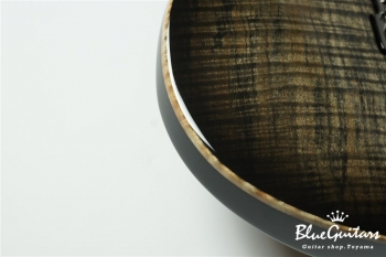 FUTURA-S HH LTD / Alder Back Spalted Maple Top Body - Transparent Black